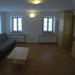Lesjakova Domacija *